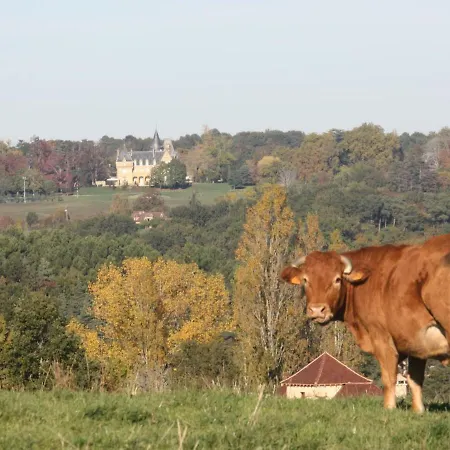 Maison En Pierres Au Coeur Du Perigord Noir Avec Wifi Et Animaux Bienvenus - Fr-1-616-71 Fleurac (Dordogne)