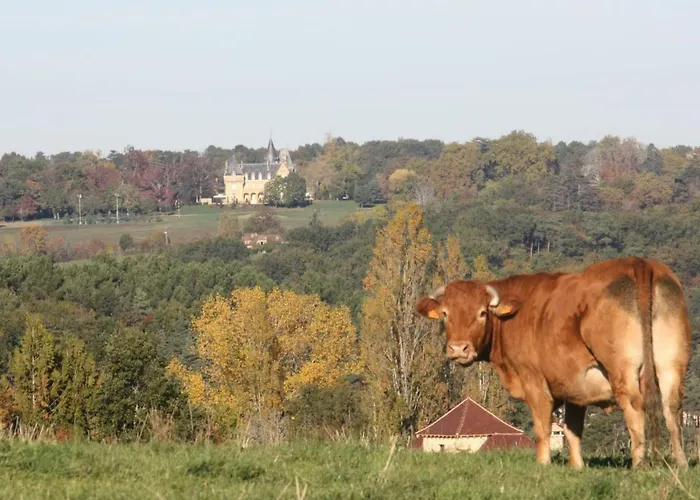 Maison En Pierres Au Cœur Du Périgord Noir Avec Wifi Et Animaux Bienvenus - Fr-1-616-71 Fleurac (Dordogne)